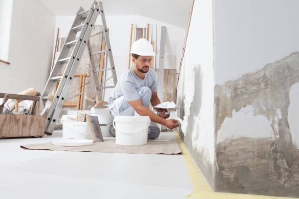 Best Trim and Molding Painting  in Rapid Valley, SD